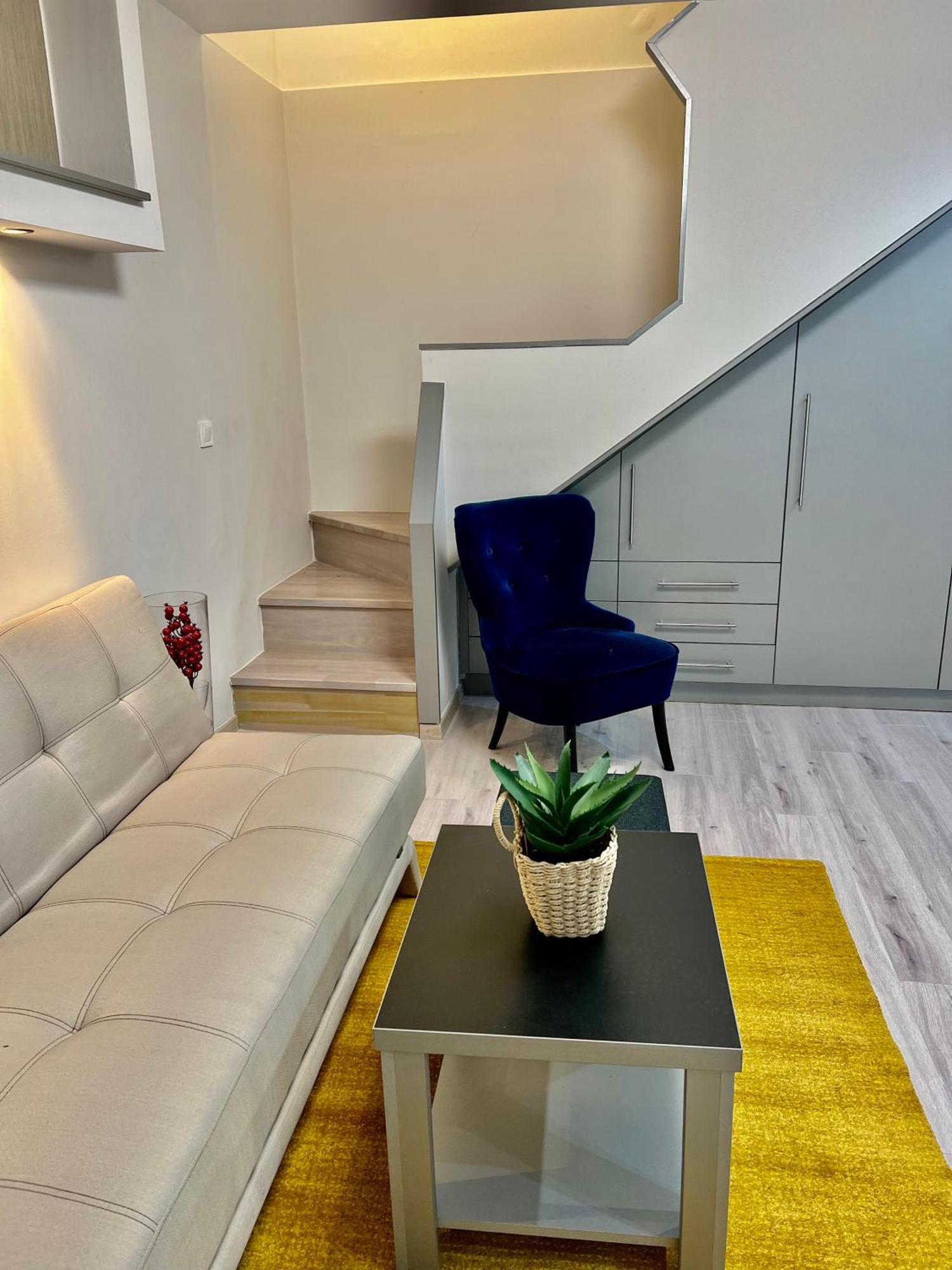 Amazing Duplex In Raday Street Apartment